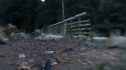 the100110_1117.jpg