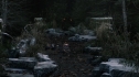 the100110_1140.jpg