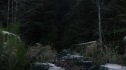 the100110_1159.jpg