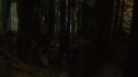the100113_0271.jpg