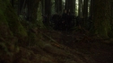 the100113_0274.jpg