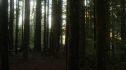 the100113_0290.jpg