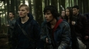 the100113_0291.jpg