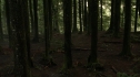 the100113_0298.jpg
