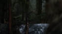 the100113_0316.jpg