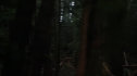 the100113_0342.jpg