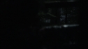 the100113_0724.jpg