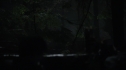 the100113_0726.jpg