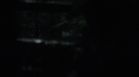 the100113_0728~0.jpg
