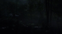 the100113_0729~0.jpg