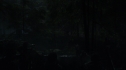 the100113_0829~0.jpg