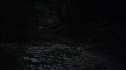 the100113_0849.jpg