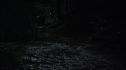 the100113_0850.jpg