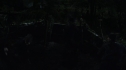 the100113_0860~0.jpg