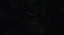 the100113_0947.jpg