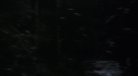 the100113_0955.jpg