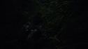 the100113_0988.jpg