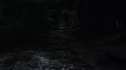 the100113_0993.jpg