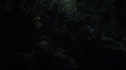 the100113_1000.jpg
