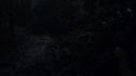 the100113_1003.jpg