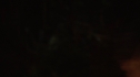 the100113_1030.jpg