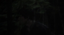 the100113_1091~0.jpg