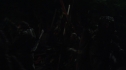 the100113_1116.jpg