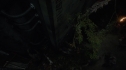 the100113_1174~0.jpg