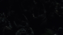 the100113_1203.jpg