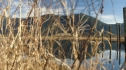 the100113_1277~0.jpg