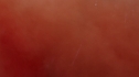 the100113_1400.jpg