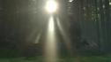 the100201_0160.jpg