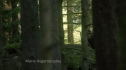 the100201_0196.jpg