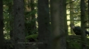 the100201_0198.jpg