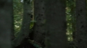 the100201_0199.jpg