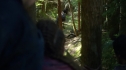 the100201_0234.jpg