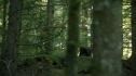the100201_0260.jpg