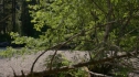 the100201_0927.jpg