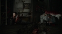 the100201_1293.jpg