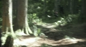the100201_1424.jpg