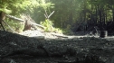 the100201_1634.jpg