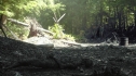 the100201_1636.jpg