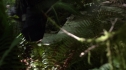 the100201_1724.jpg