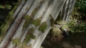 the100201_1731.jpg