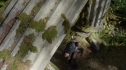 the100201_1732.jpg