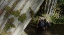 the100201_1733.jpg
