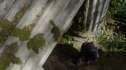 the100201_1734.jpg
