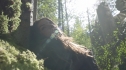 the100201_1780.jpg