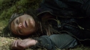 the100201_2092.jpg