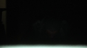 the100201_2255.jpg